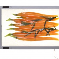 Sous Vide Lösung