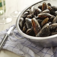 Miesmuscheln